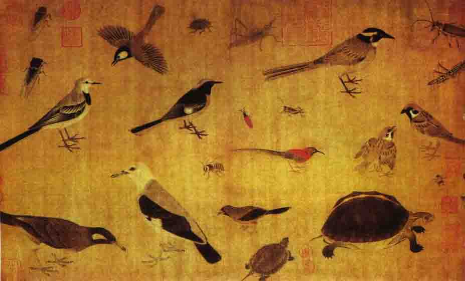 Sketch of Rare Birds, Huang Quan